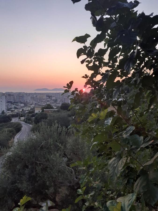 Vila Oliven Vlorë 外观 照片