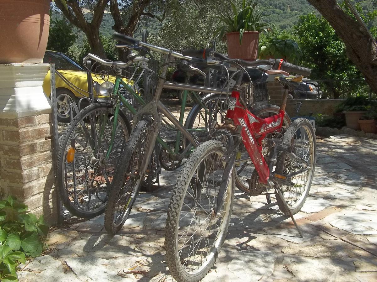 Vila Oliven Vlorë 外观 照片